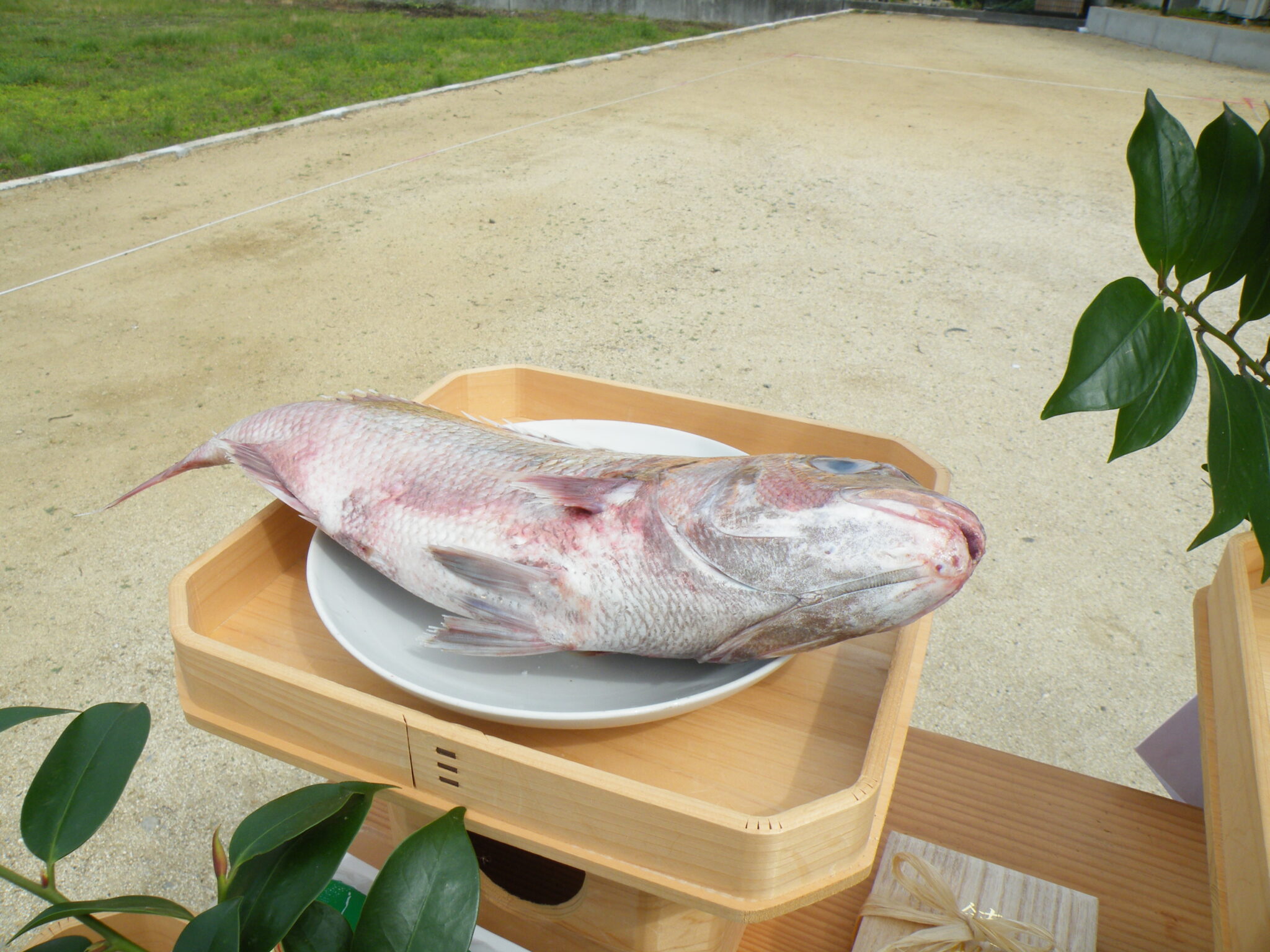 祝・坂出市笠指町　地鎮祭